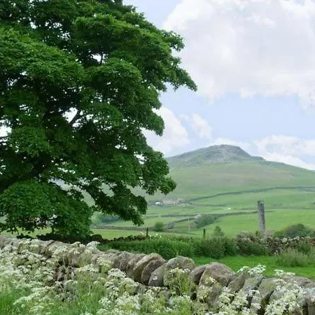 Pasture *